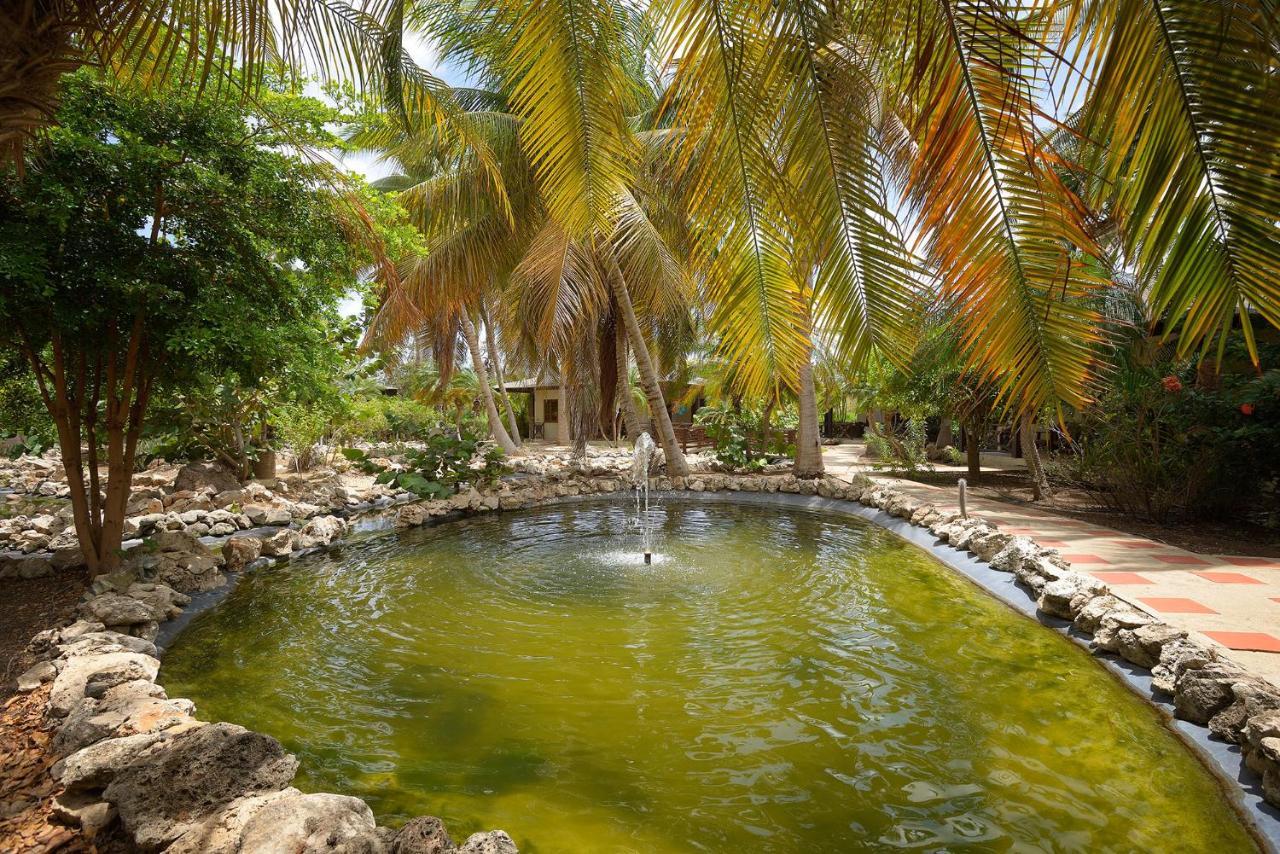 Captain Don'S Habitat Kralendijk  Ngoại thất bức ảnh