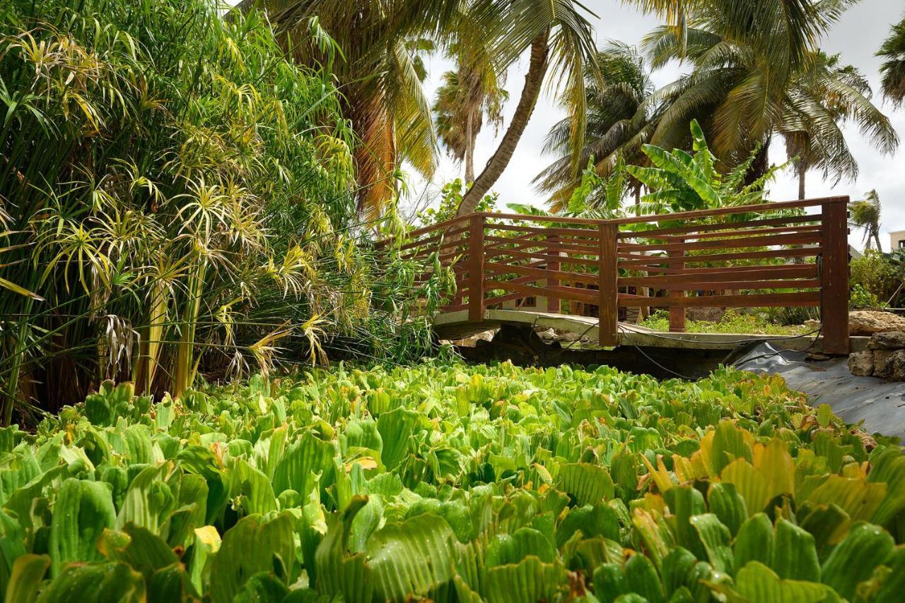 Captain Don'S Habitat Kralendijk  Ngoại thất bức ảnh