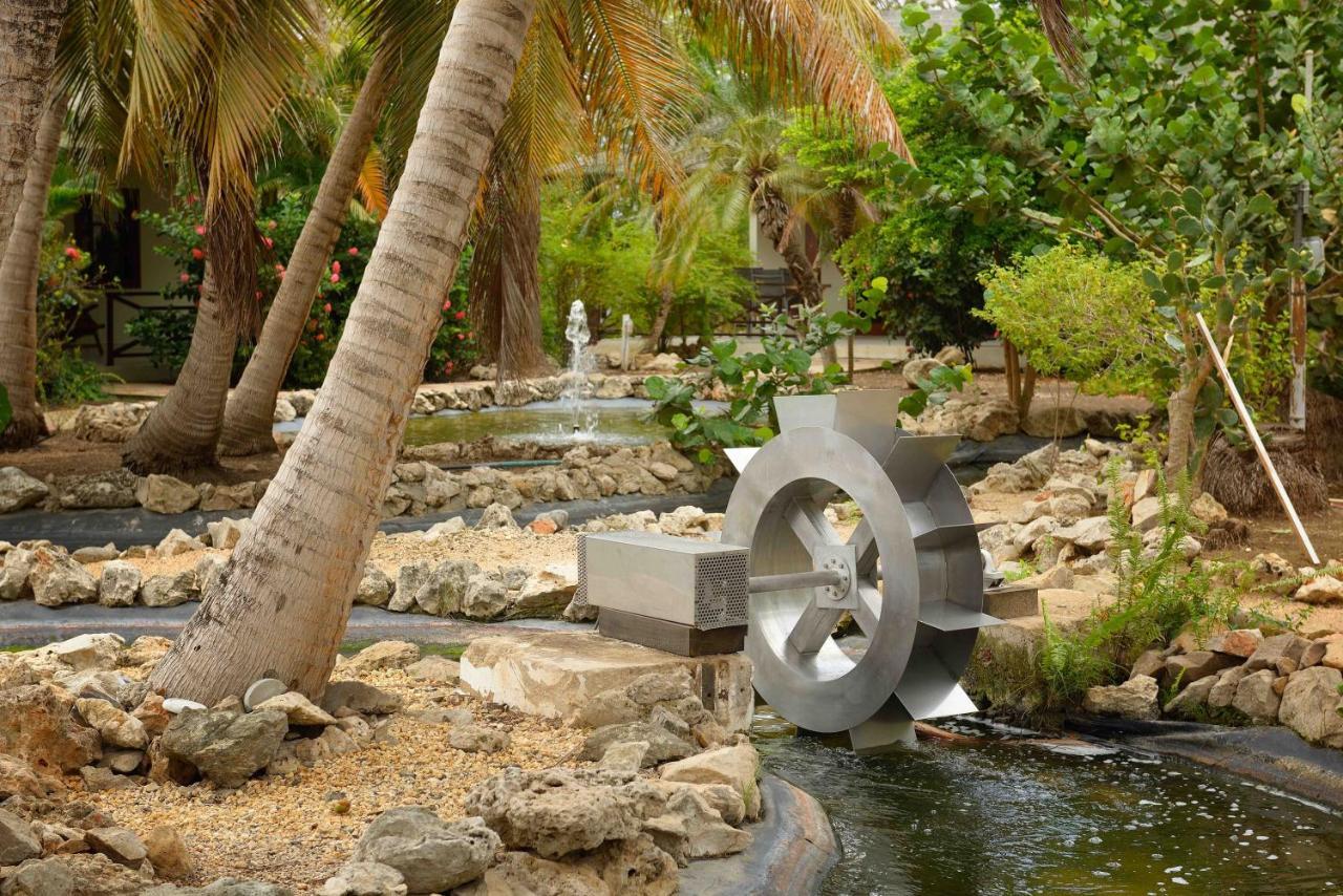 Captain Don'S Habitat Kralendijk  Ngoại thất bức ảnh
